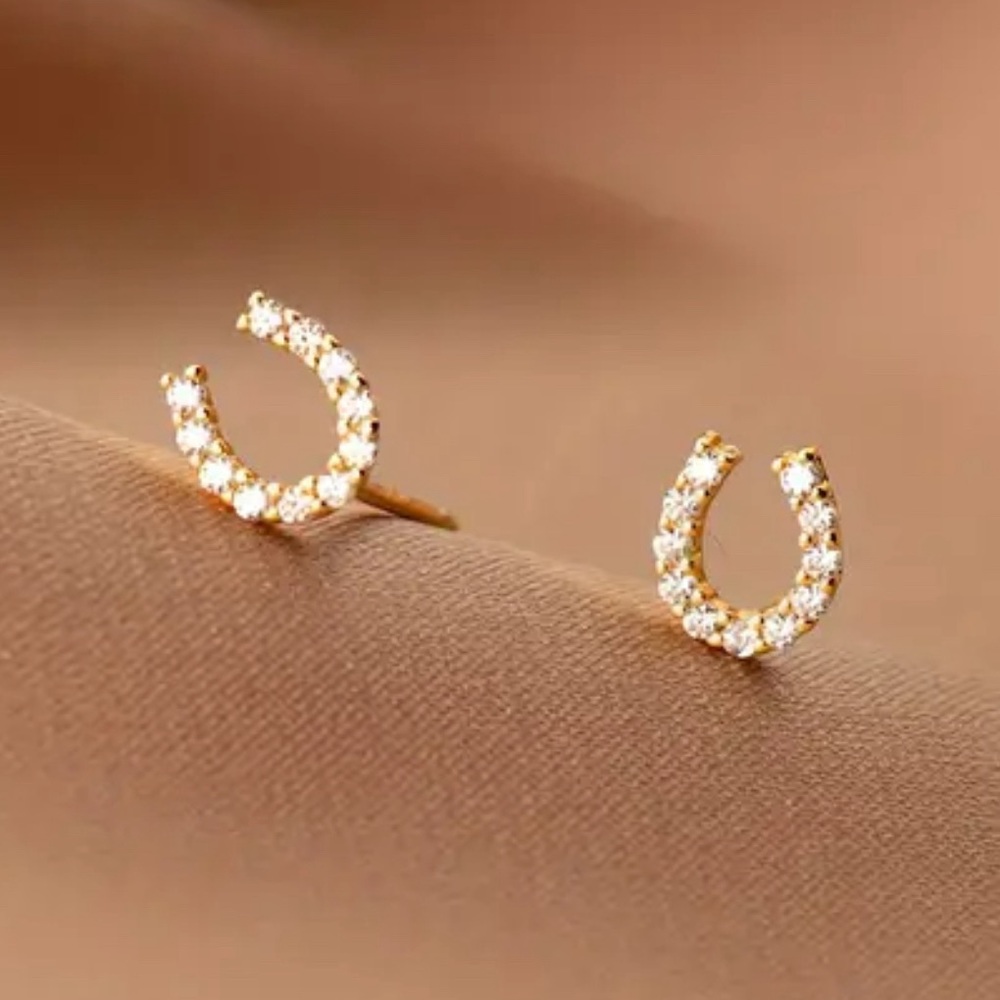 14k Tiny Delicate Horseshoe Earrings